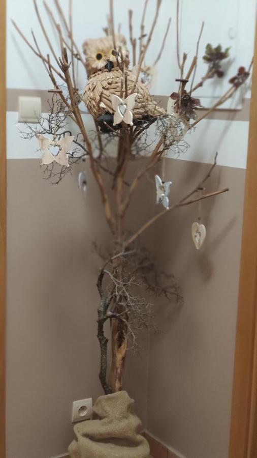 Margus Apartmány Oscadnica Esterno foto